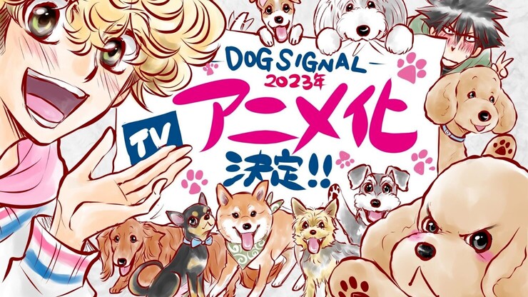 «Собачий сигнал» — анонс серьёзного аниме про милых пёселей и уход за ними | КГ-Портал